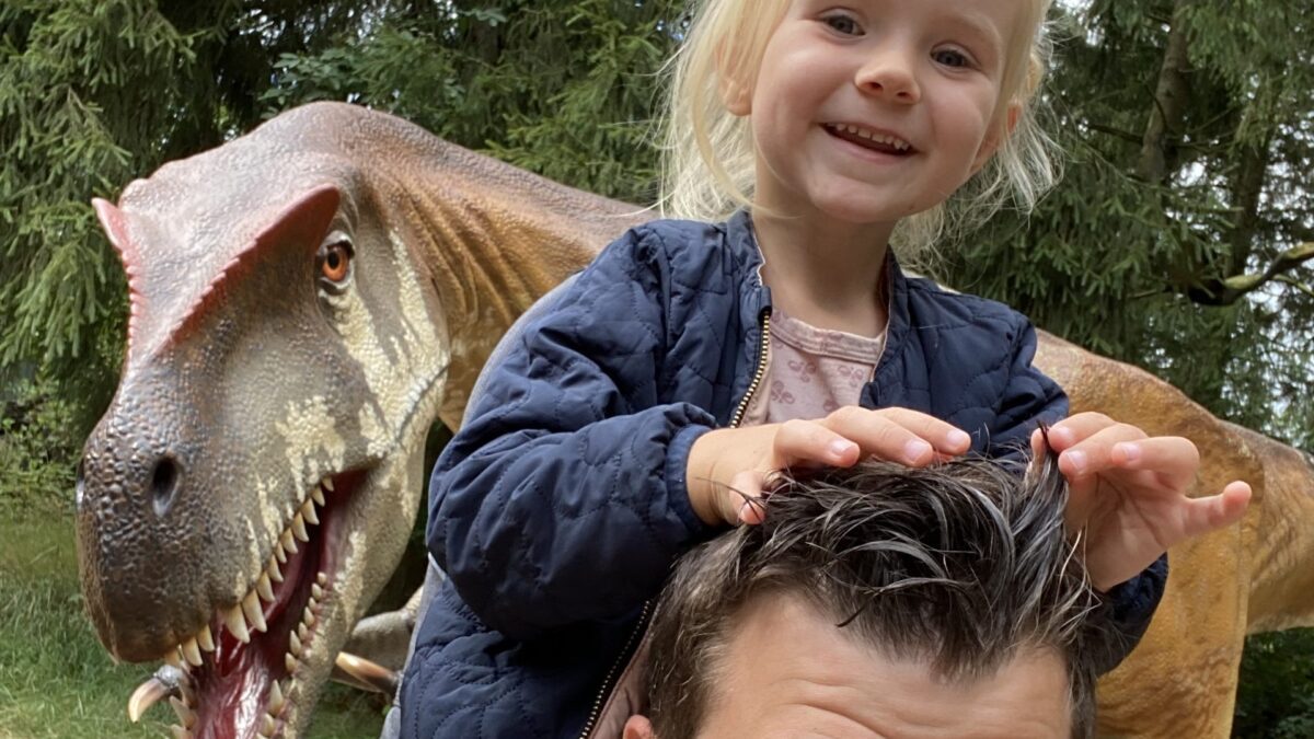 🦖 På jagt efter dinosaur æg