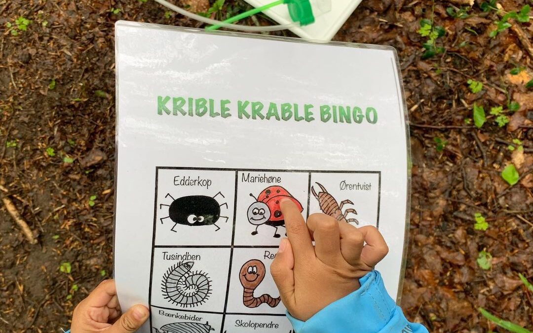 Krible-krable-bingo 🕷🪲🐜